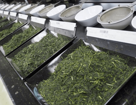 ASANOKA (あさのか) 100g