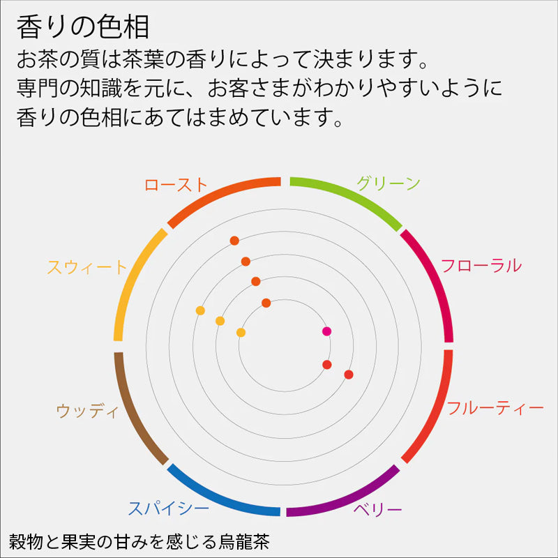 烏龍茶3缶ティーバッグセット(20パック×3缶) ギフトセレクト