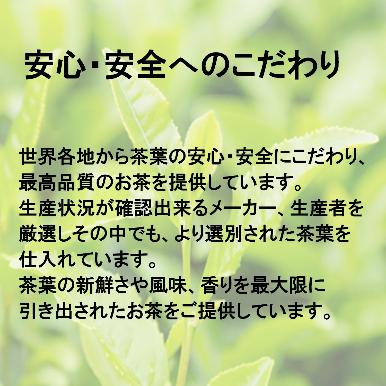 LeMoment Select お試し3種セット