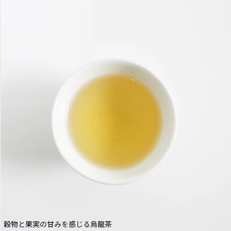 烏龍茶3缶ティーバッグセット(20パック×3缶) ギフトセレクト