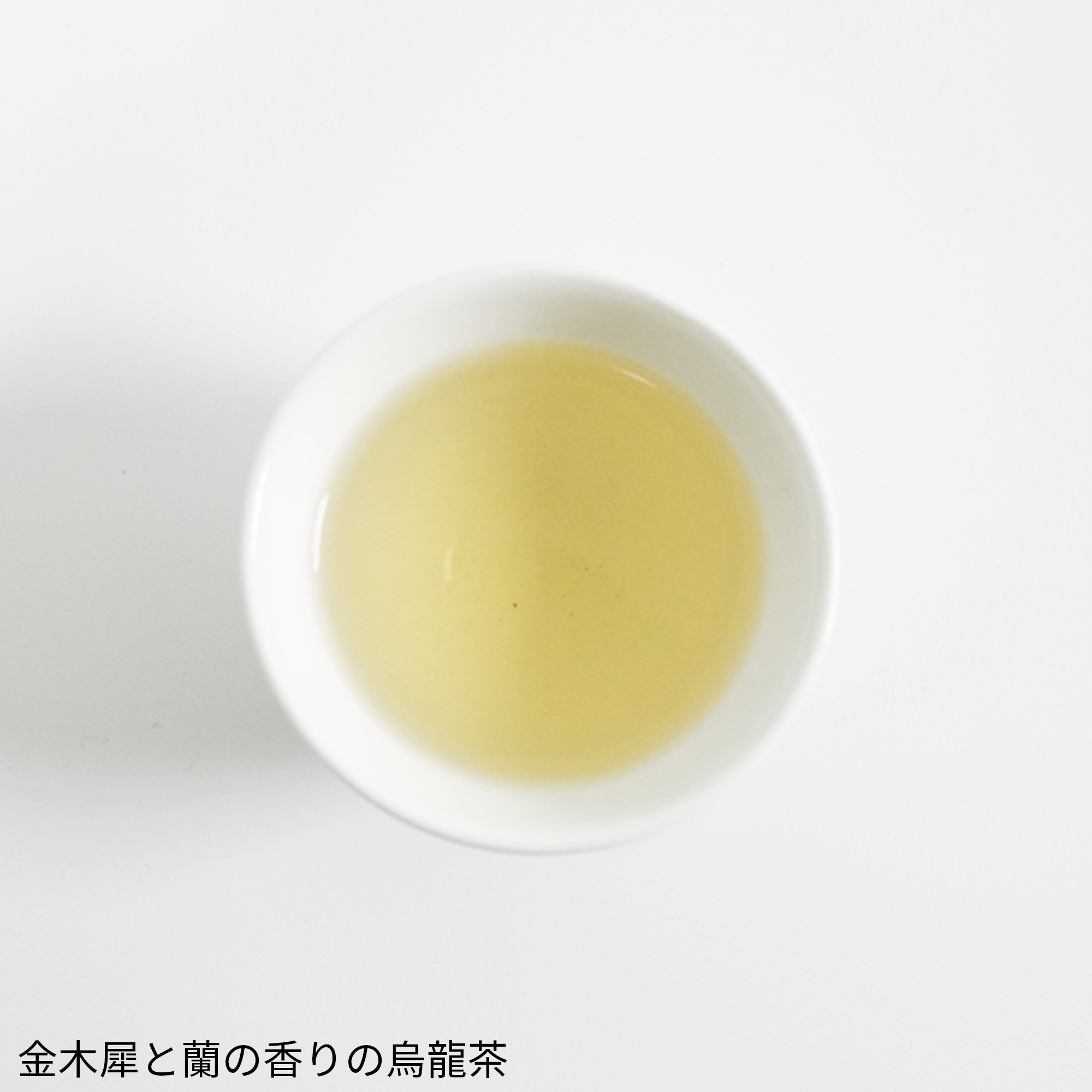 烏龍茶3缶ティーバッグセット(20パック×3缶) ギフトセレクト